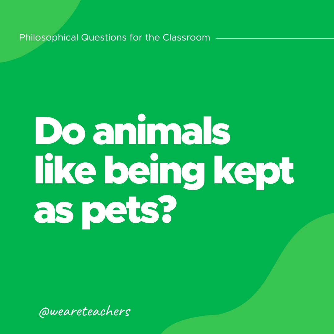 Philosophical Questions 12 Do animals like being kept as pets?