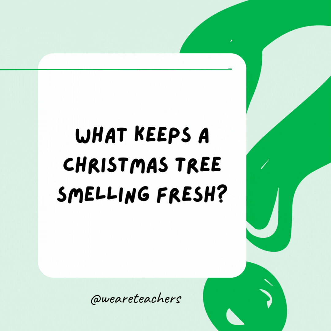 What keeps a Christmas tree smelling fresh? Orna-mints. What keeps a Christmas tree smelling fresh? Orna-mints.- riddles for high school students