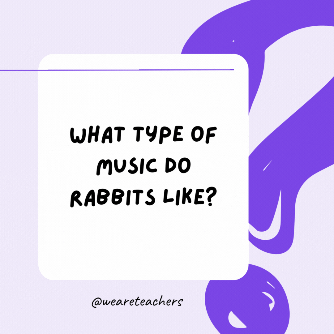 What type of music do rabbits like? Hip-hop. What type of music do rabbits like? Hip-hop.