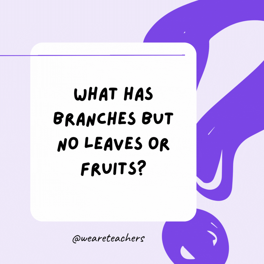 What has branches but no leaves or fruits? A bank. What has branches but no leaves or fruits? A bank.- riddles for high school students