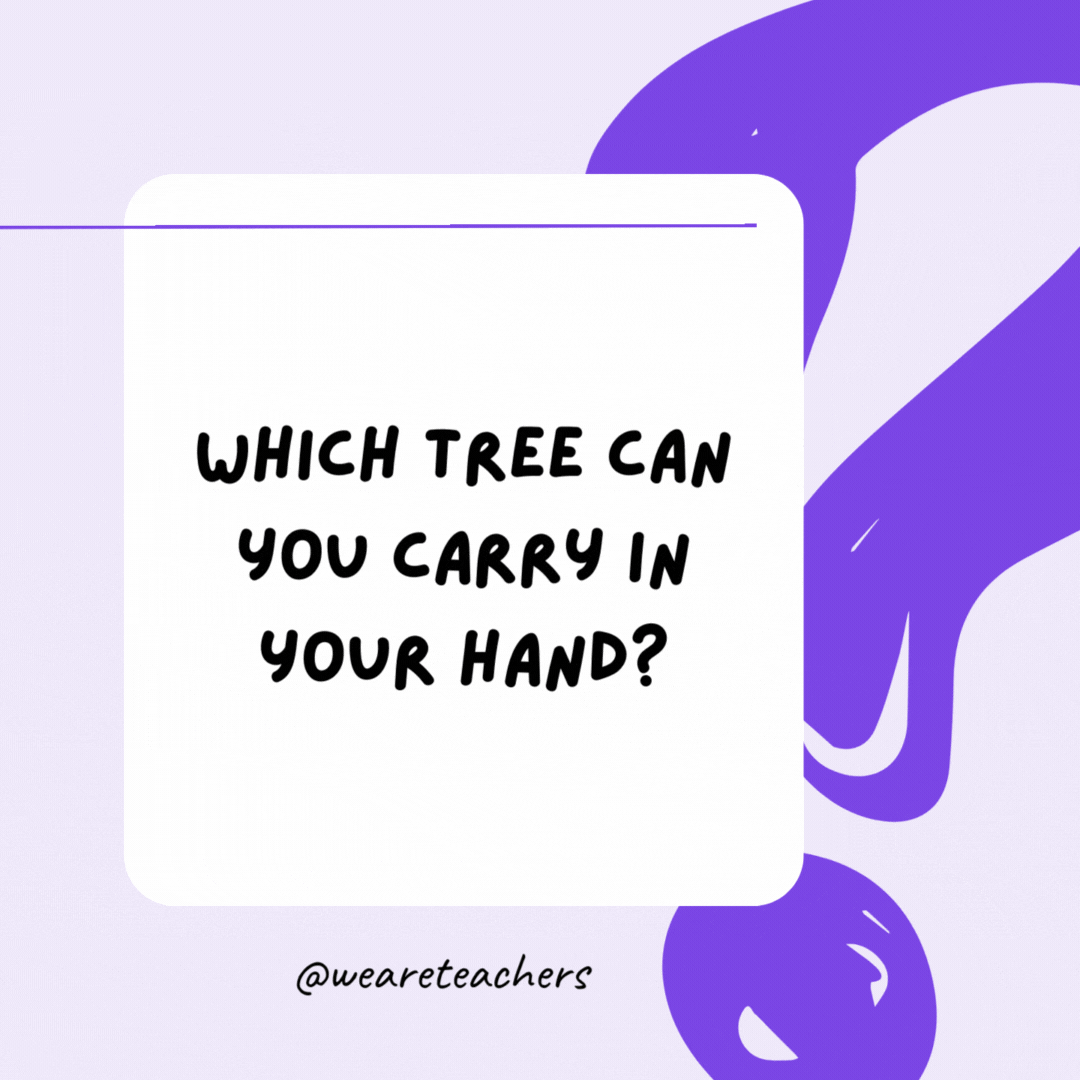 Which tree can you carry in your hand? A palm tree. Which tree can you carry in your hand? A palm tree.