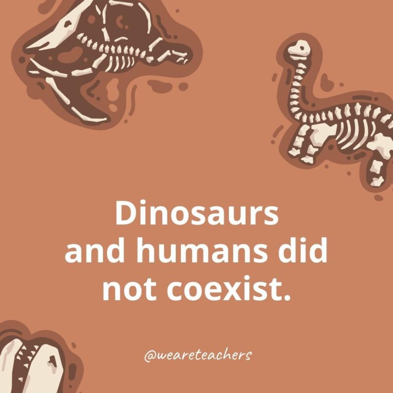 25 Incredible Dinosaur Facts for Kids Dinosaurs and humans did not coexist.