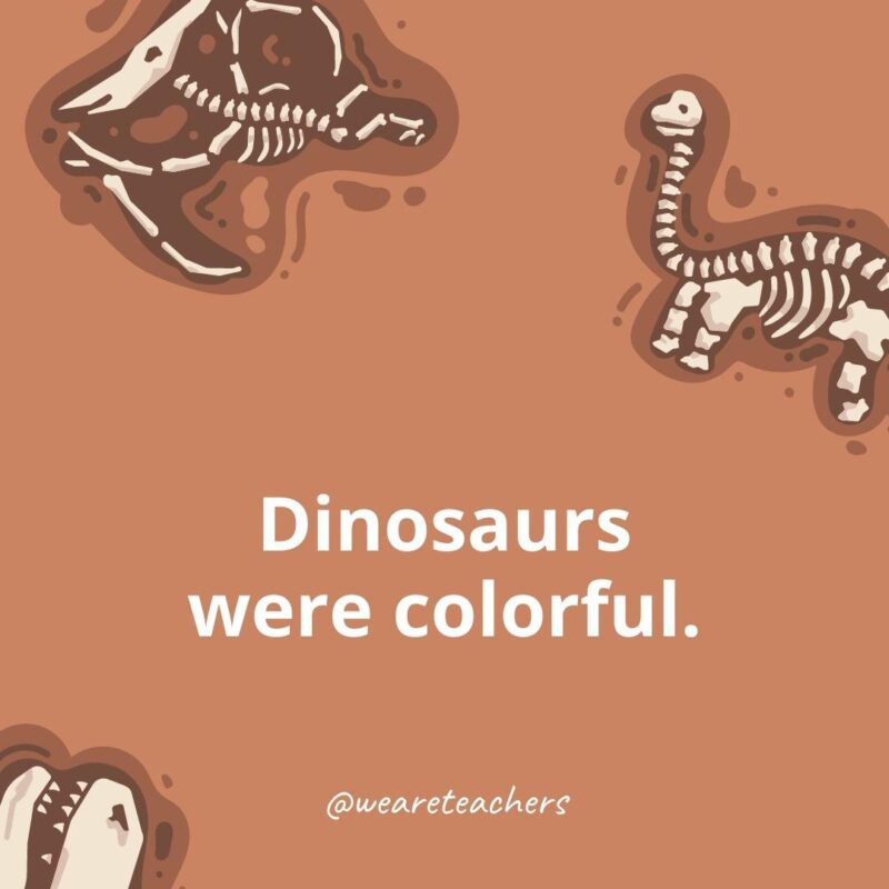 25 Incredible Dinosaur Facts for Kids Dinosaurs were colorful.