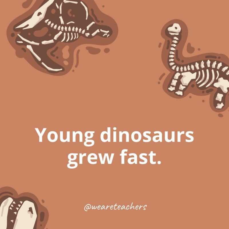 25 Incredible Dinosaur Facts for Kids Young dinosaurs grew fast.