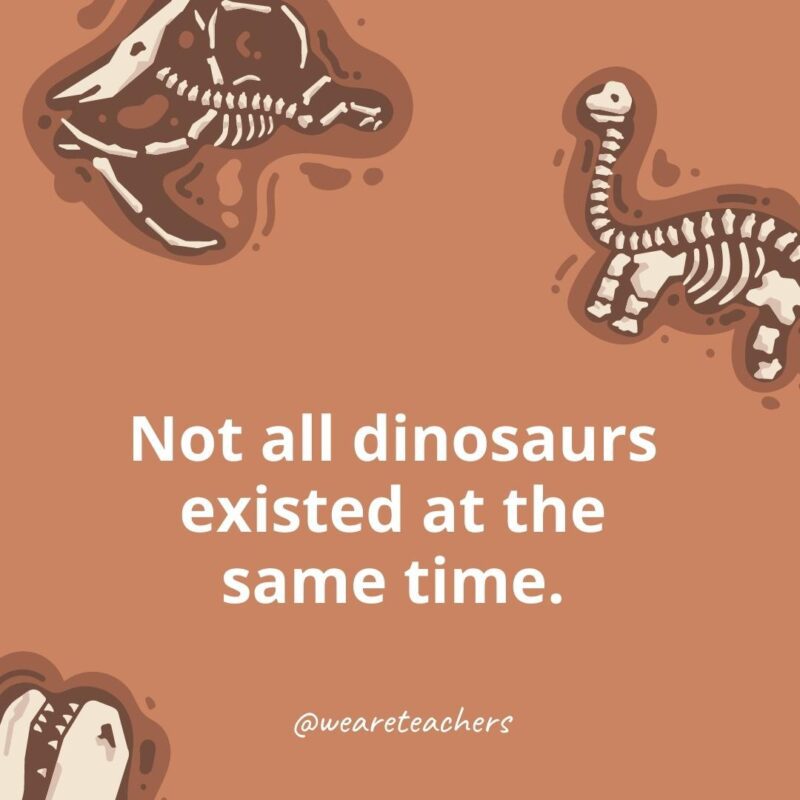 25 Incredible Dinosaur Facts for Kids Not all dinosaurs existed at the same time.- dinosaur facts for kids