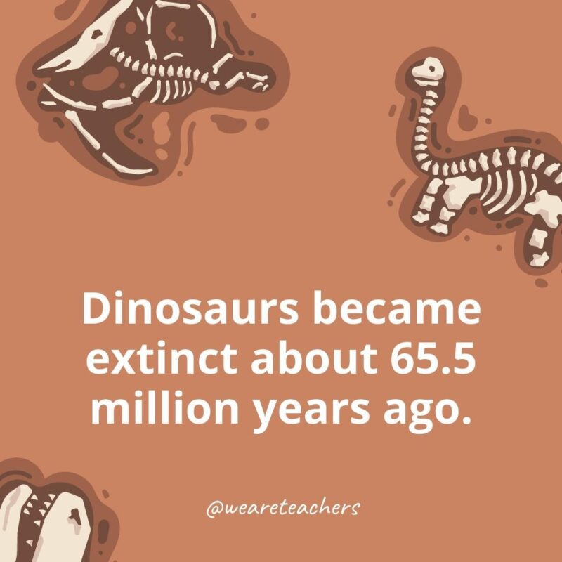 25 Incredible Dinosaur Facts for Kids Dinosaurs became extinct about 65.5 million years ago.