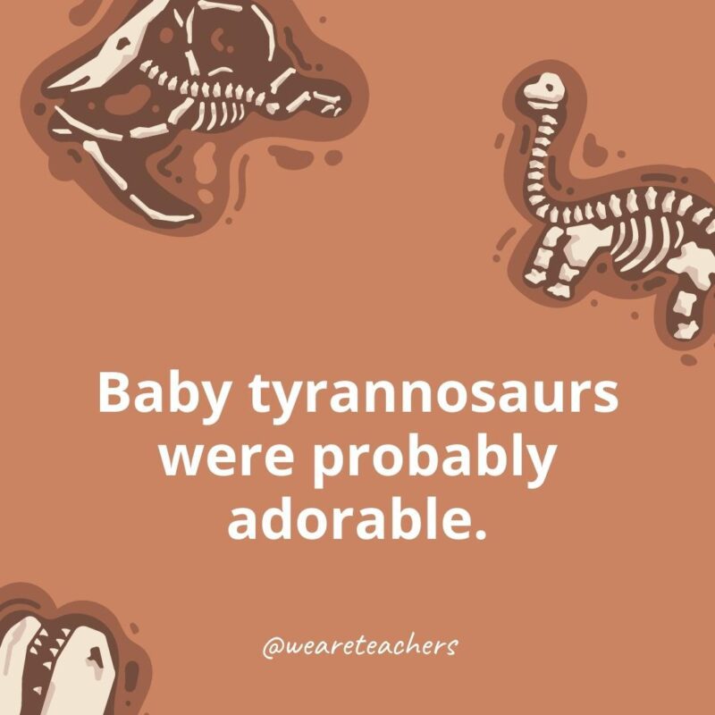 25 Incredible Dinosaur Facts for Kids Baby tyrannosaurs were probably adorable.- dinosaur facts for kids