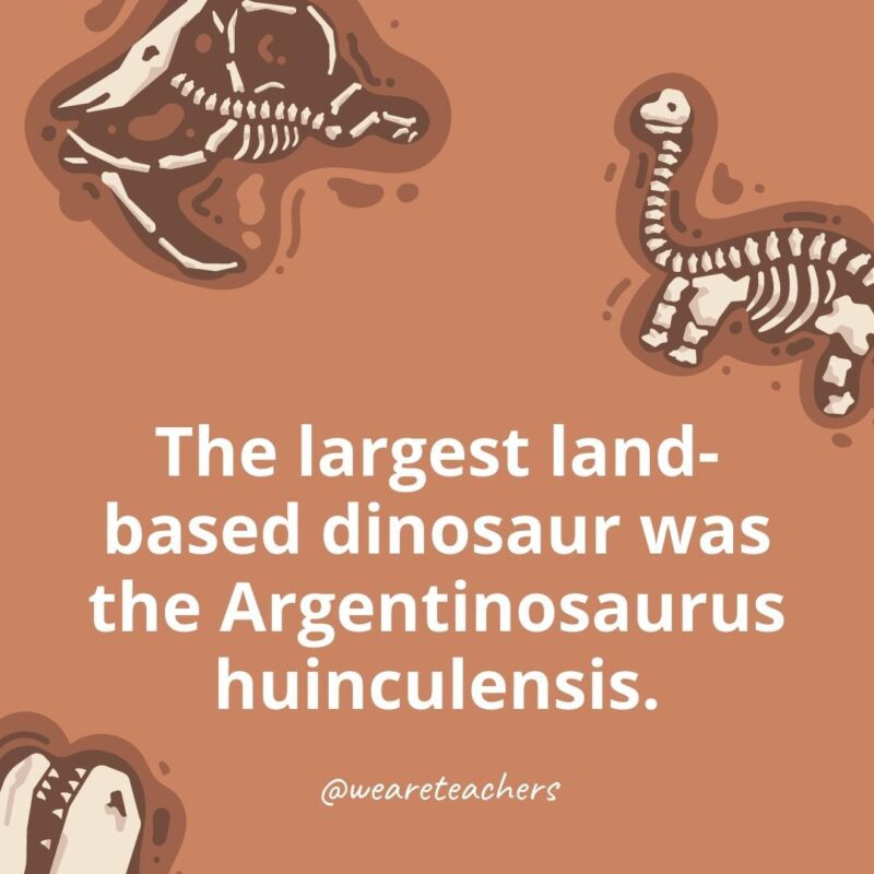 25 Incredible Dinosaur Facts for Kids