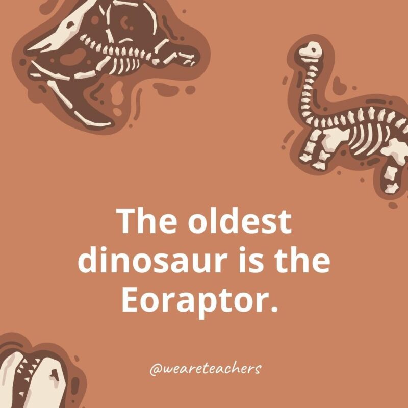 25 Incredible Dinosaur Facts for Kids The oldest dinosaur is the Eoraptor.- dinosaur facts for kids