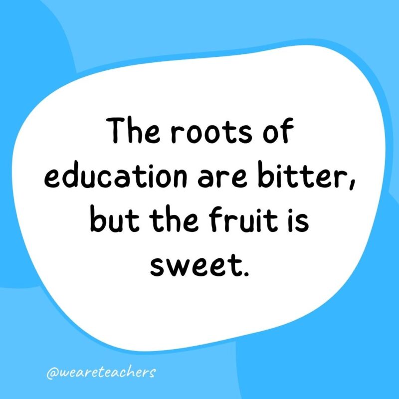 The roots of education are bitter, but the fruit is sweet. The roots of education are bitter, but the fruit is sweet.