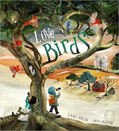 Love Birds Book cover for Love Birds as an example of mentor texts for narrative writing