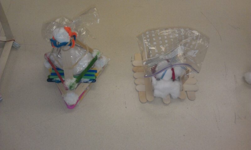 ship ships made from popsicle sticks for an egg drop challenge
