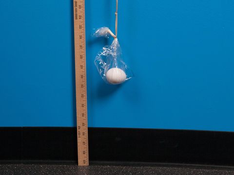bungee-jump-egg-drop egg suspended on a rubber band for an egg drop challenge idea