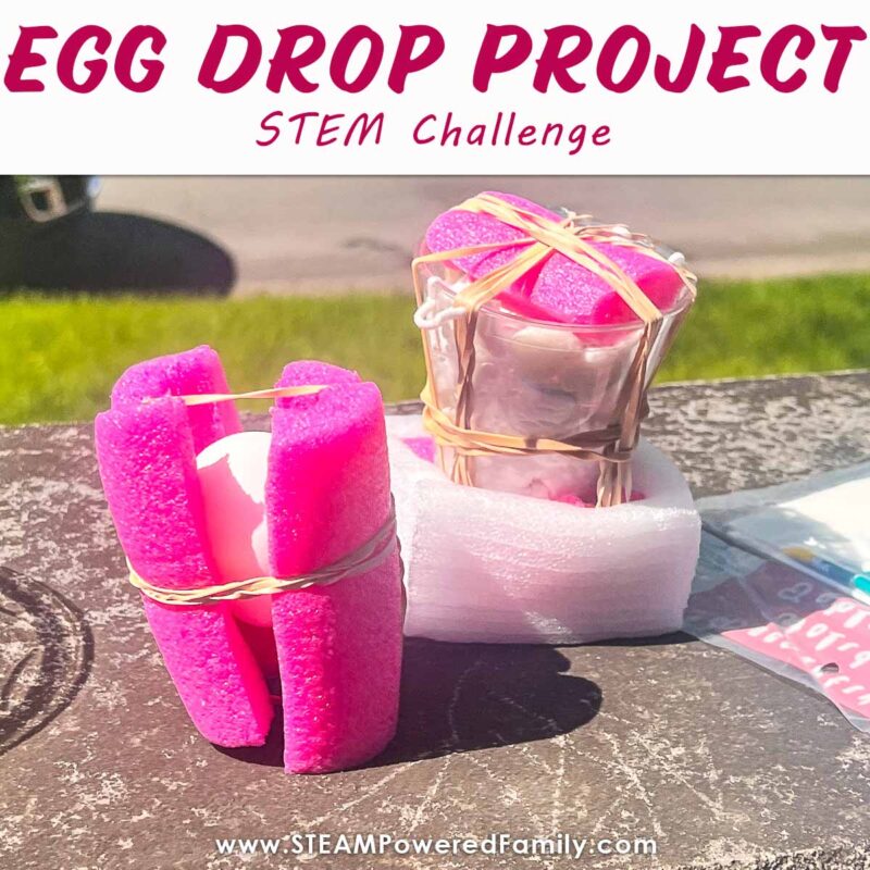 pool-noodle-egg-drop pool noodles protecting eggs