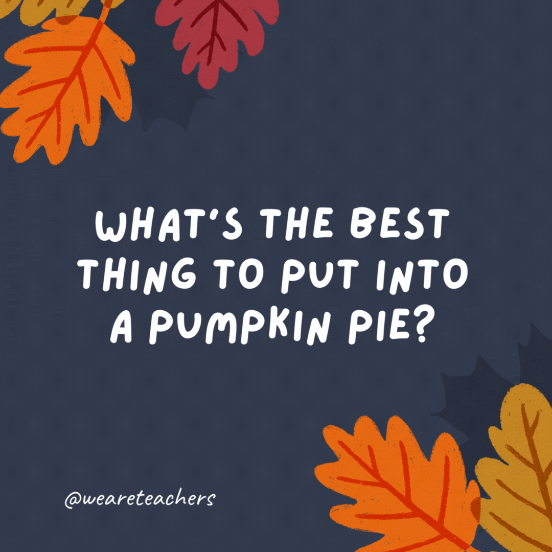 What’s the best thing to put into a pumpkin pie? Your teeth. What's the best thing to put into a pumpkin pie?
Your teeth.