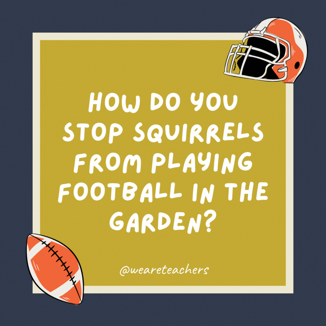 How do you stop squirrels from playing football in the garden? Hide the ball—it drives them nuts. How do you stop squirrels from playing football in the garden? Hide the ball—it drives them nuts.- football jokes