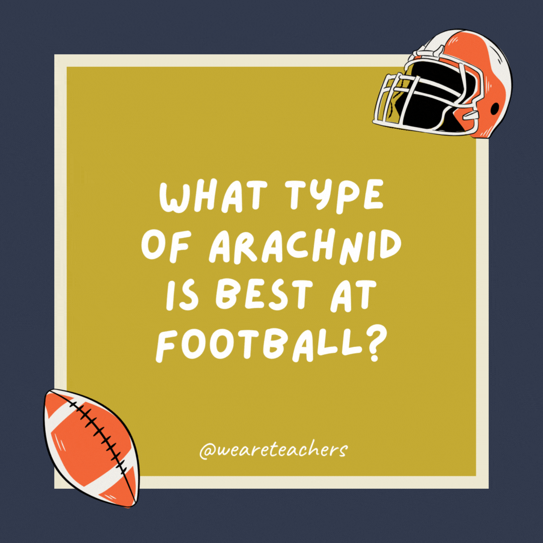 What type of arachnid is best at football? A score-pion. What type of arachnid is best at football? A score-pion.- football jokes