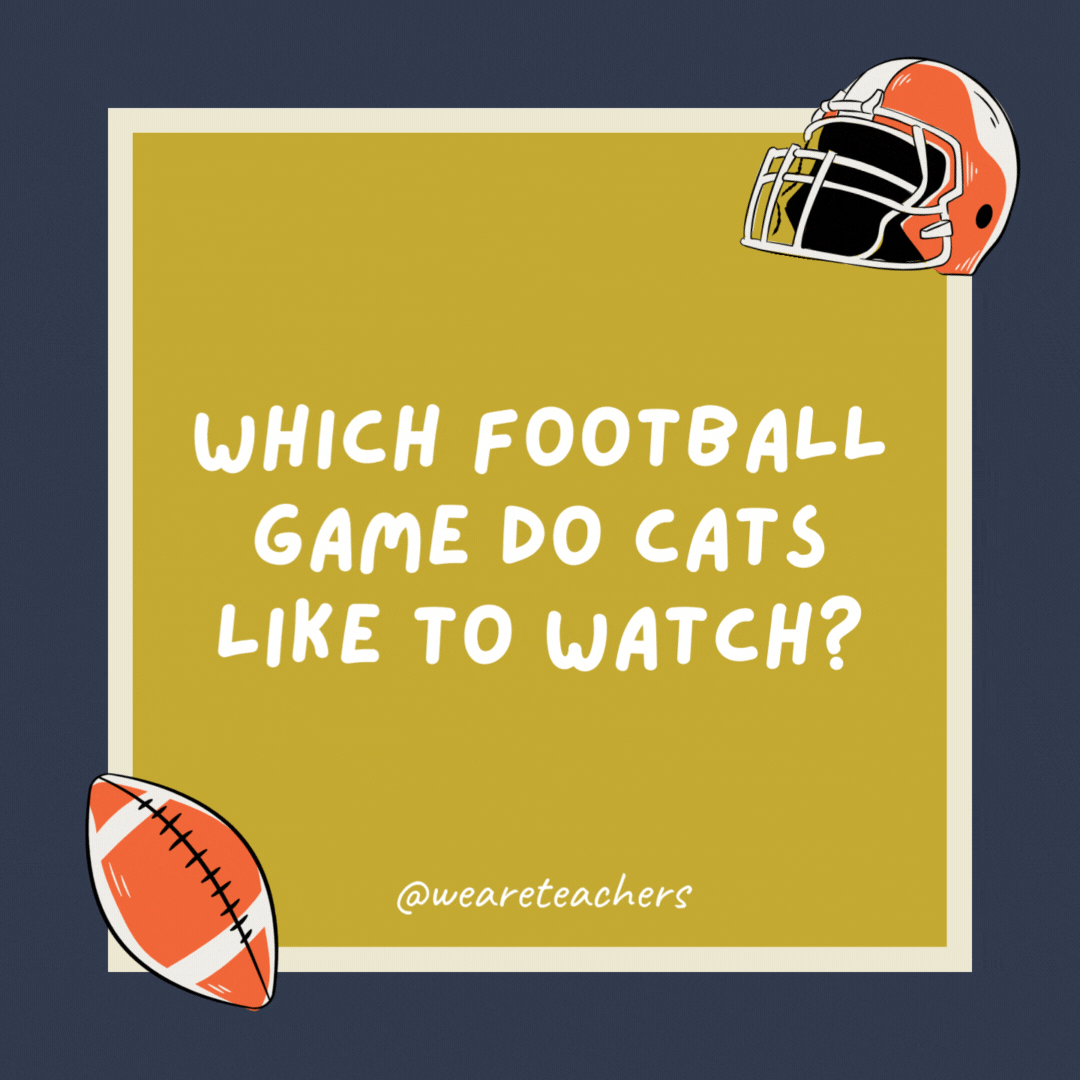Which football game do cats like to watch? The Goldfish Bowl. Which football game do cats like to watch?
The Goldfish Bowl.