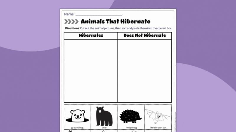 Animals that Hibernate Gif Gif featuring worksheet pages about hiberation.
