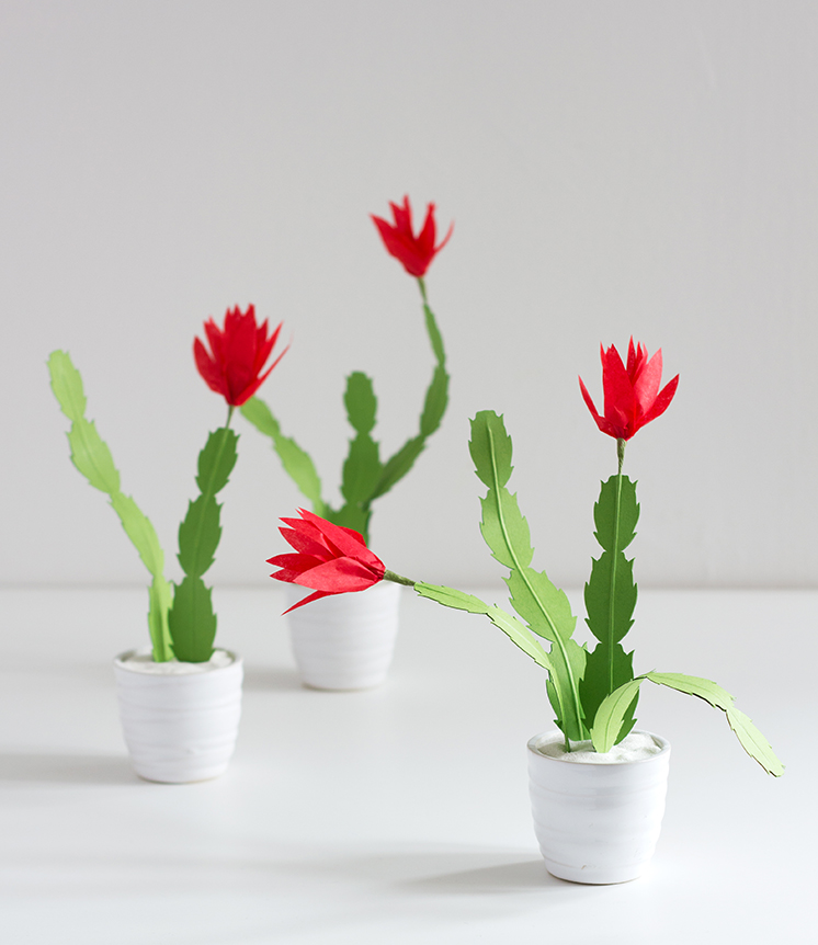 christmas-cactus Christmas cactus plants made from paper in small white pots as an example of classroom winter crafts