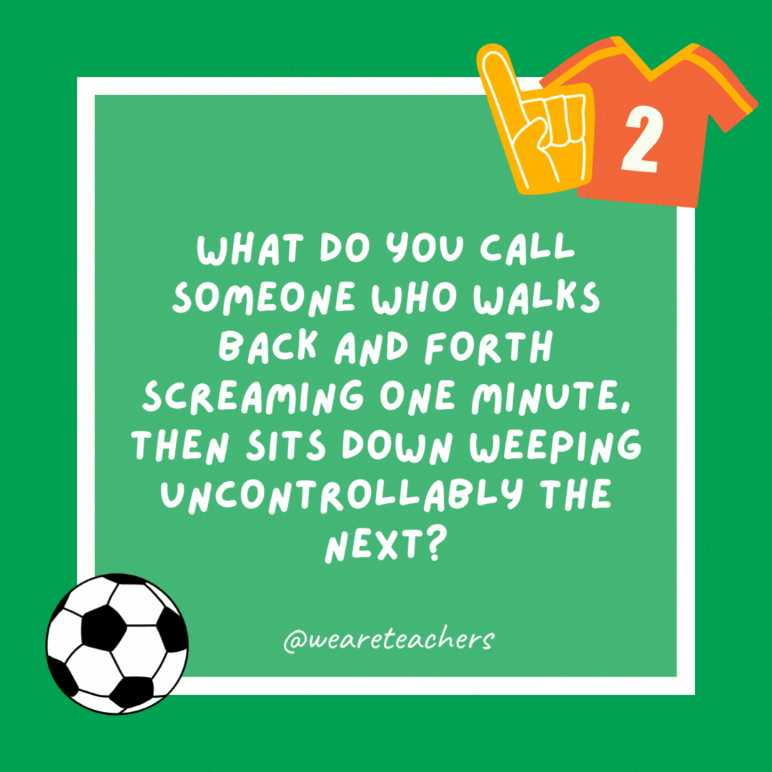 What do you call someone who walks back and forth screaming one minute, then sits down weeping uncontrollably the next? A soccer coach. What do you call someone who walks back and forth screaming one minute, then sits down weeping uncontrollably the next?
A soccer coach.