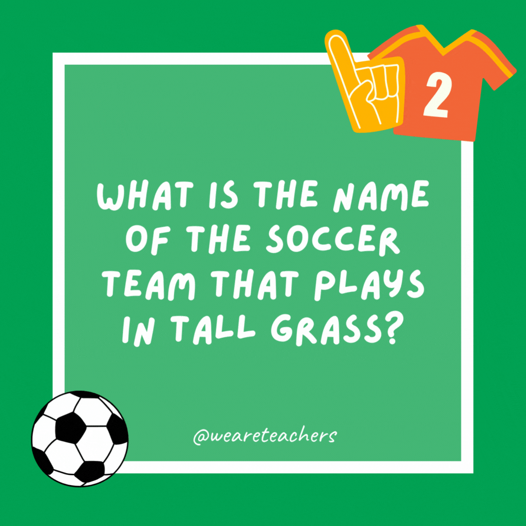 What is the name of the soccer team that plays in tall grass? Weeds United. What is the name of the soccer team that plays in tall grass?
Weeds United.