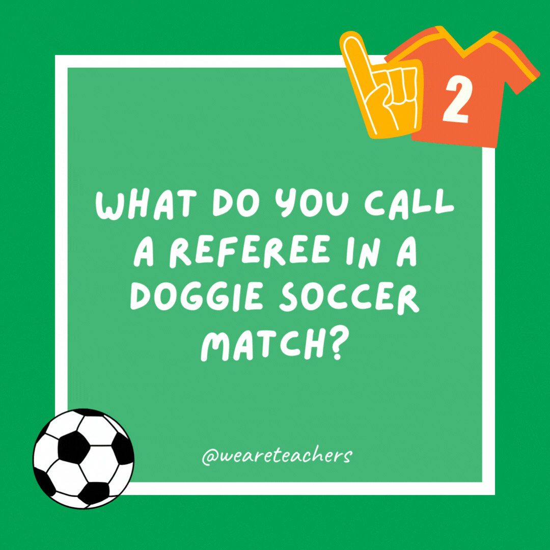 What do you call a referee in a doggie soccer match? A rufferee. What do you call a referee in a doggie soccer match?
A rufferee.