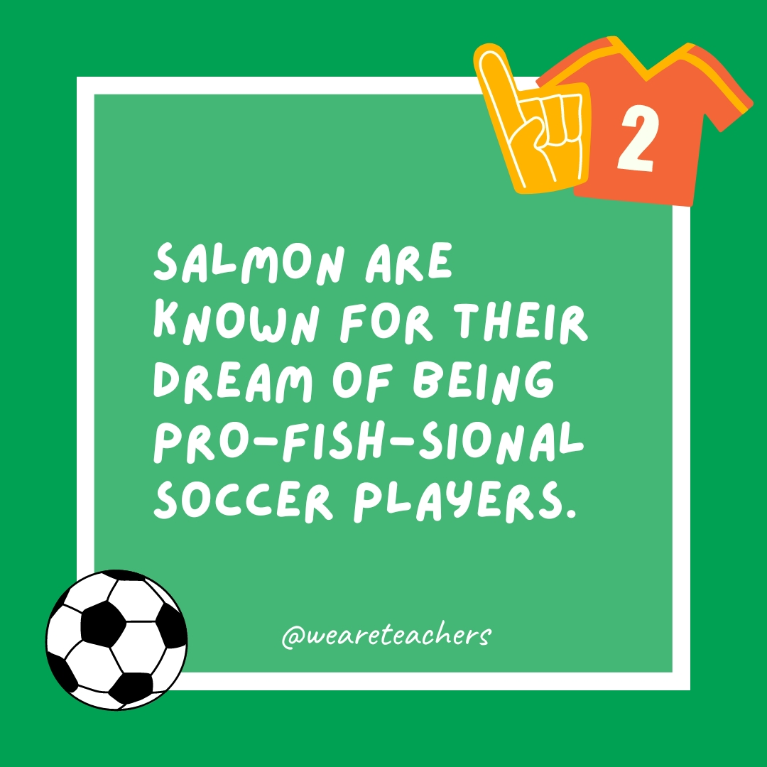 Salmon are known for their dream of being pro-fish-sional soccer players. Salmon are known for their dream of being pro-fish-sional soccer players.