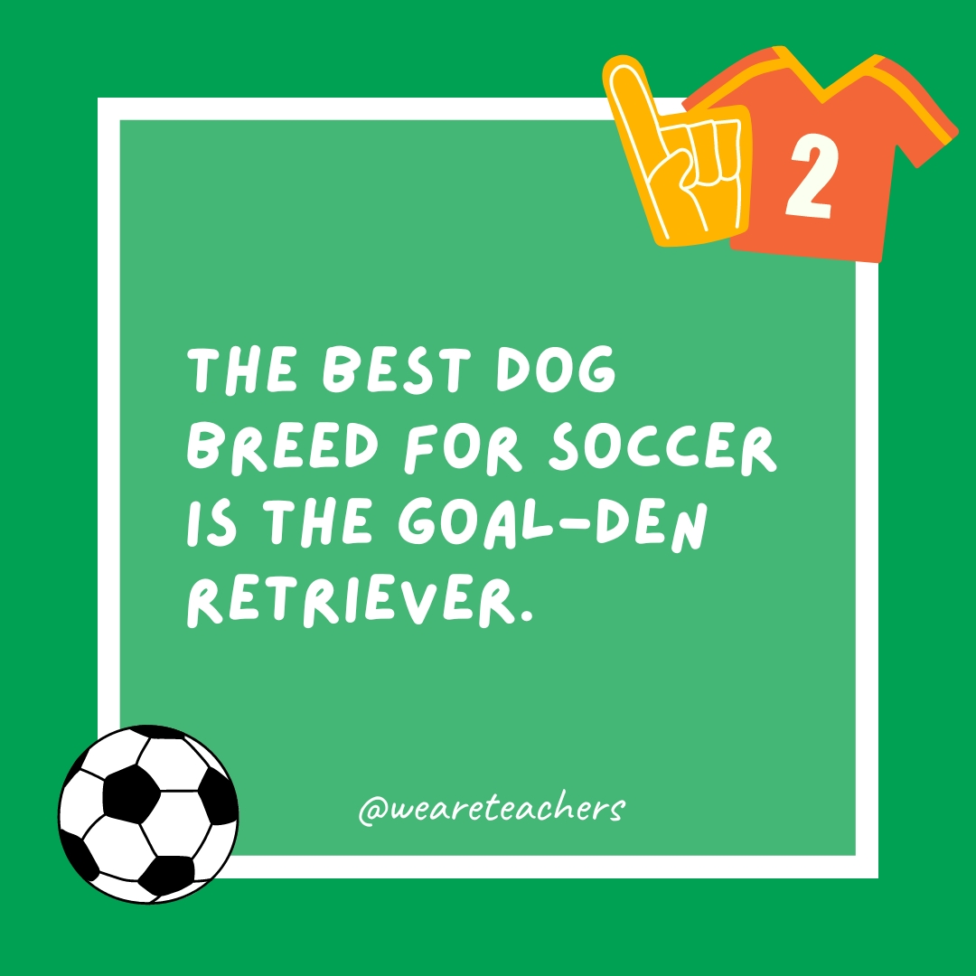 The best dog breed for soccer is the goal-den retriever. The best dog breed for soccer is the goal-den retriever.