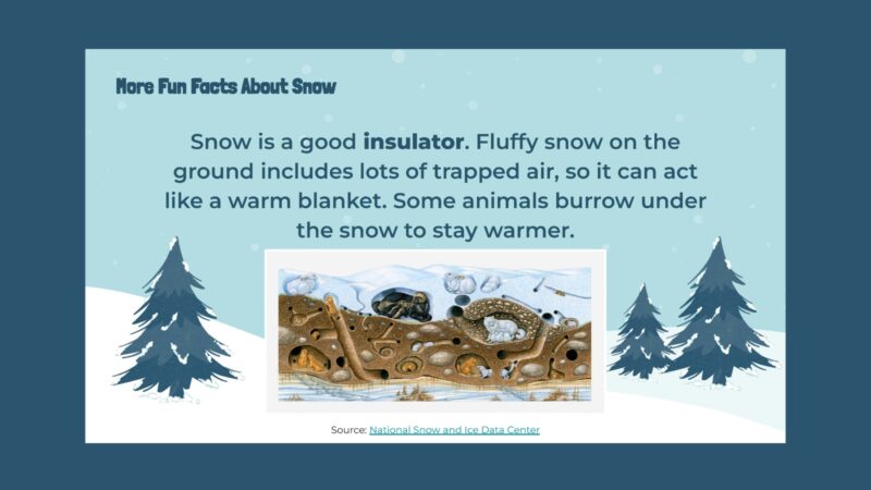Snow Fact: Snow Is a Good Insulator