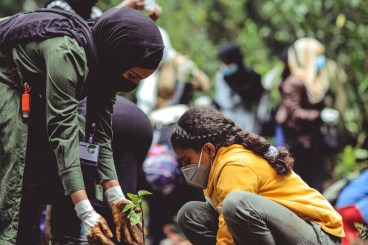 Sustainability learning