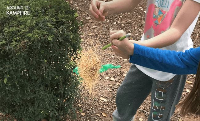 Seed Bomb Experiment Children exploding a balloon with seeds flying out