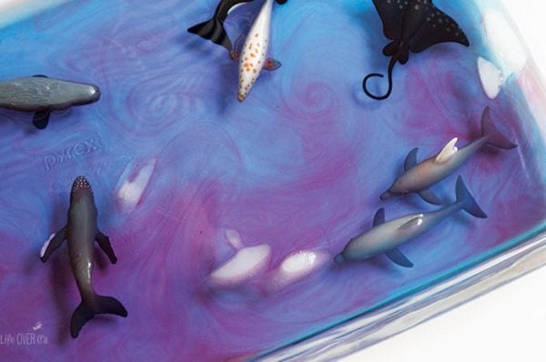 4th Grade Science Experiments Currents Life Over Cs Glass pan full of blue and purple swirls of water, with ice cubes and plastic sea creatures