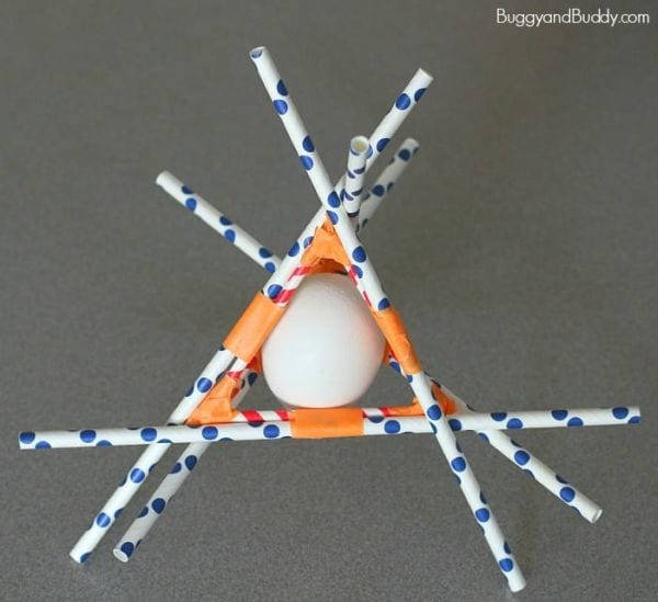 4th Grade Science Experiments Egg Drop Buggy and Buddy Paper straws taped around an egg in a triangle shape