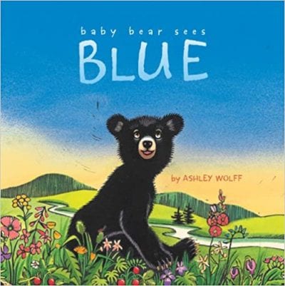 Baby Bear Sees Blue Book cover for Baby Bear Sees Blue as an example of preschool books