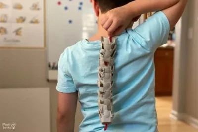Egg Carton Spine Activity Kindergarten science student holding a model of the spine made from string and egg carton pieces up to their back