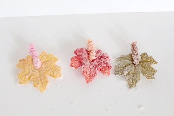 Third Grade Science Crystals Schooling a Monkey Yellow, red, and green leaves crystalized in a boric acid solution