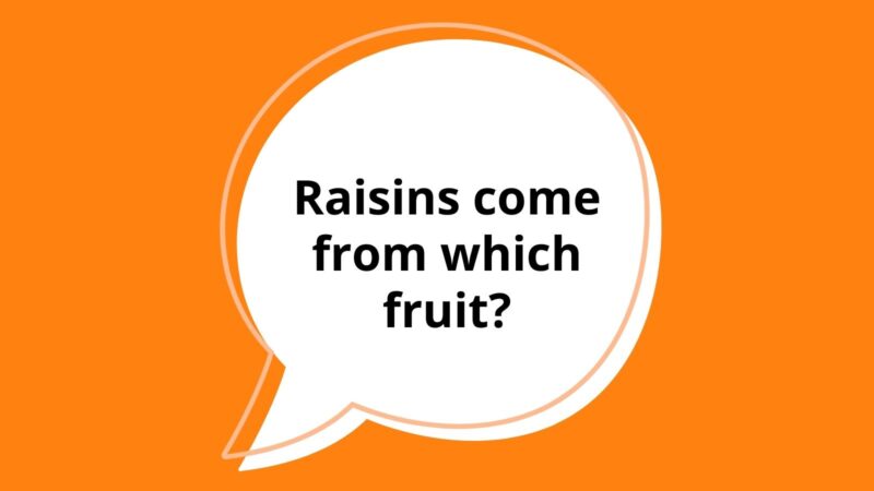 100 Trivia Questions for Kids in All Grade Levels Raisins come from which fruit?