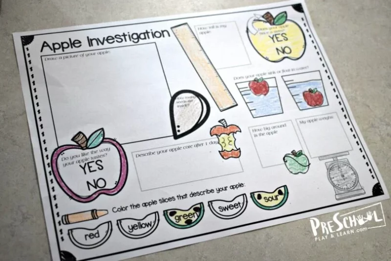 Apple Science Investigation Apple science investigation worksheet for kindergarten science students