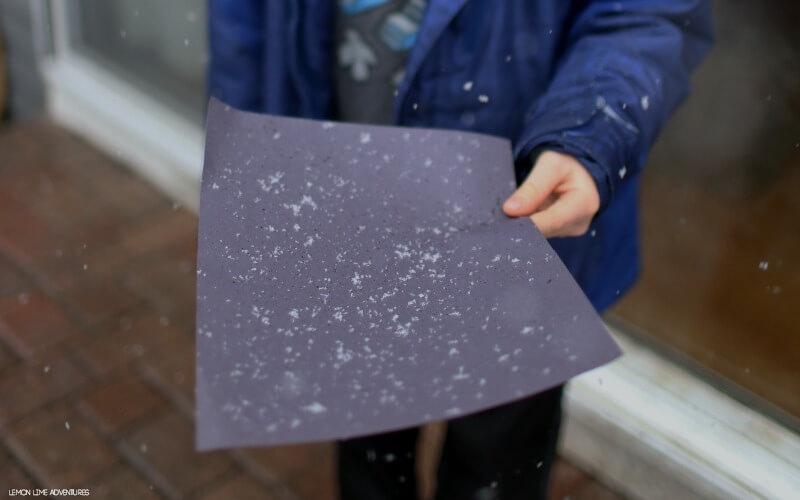 falling-snowflakes snowflakes landing on black construction paper for snow activity