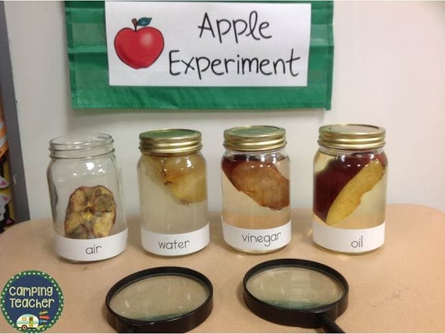 First Grade Science Experiments Four jars with apple slice in each, filled with air, water, vinegar, and oil, with two magnifying glasses