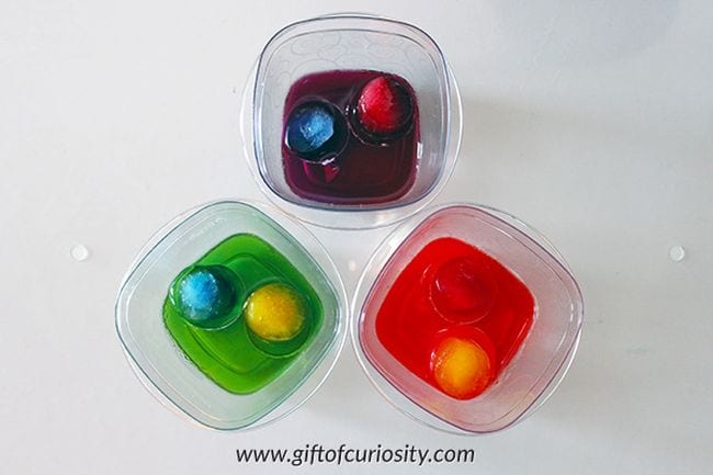 First Grade Science Experiments Plastic containers holding colored ice cubes floating in water of different colors