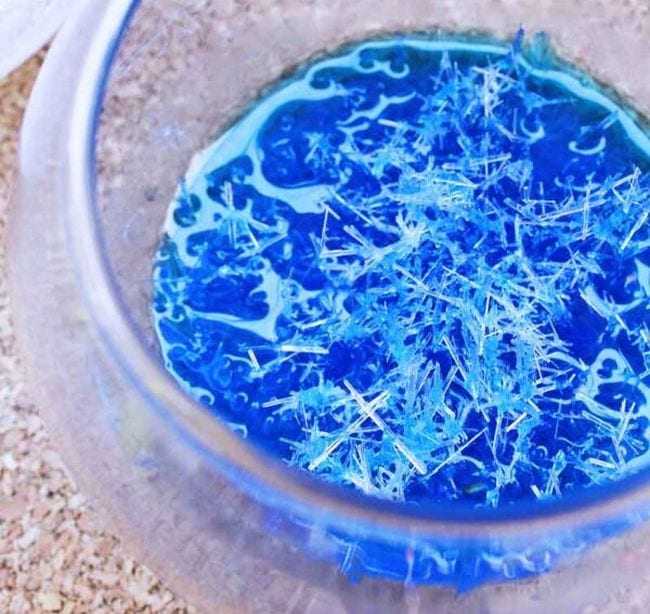 First Grade Science Experiments Glass bowl holding blue water solution covered in crystals