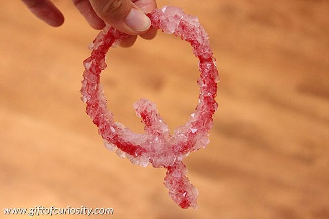 Kindergarten science Activities Crystal Letters Red pipe cleaner twisted into the shape of a Q, with crystals grown on it (Kindergarten Science Activities)
