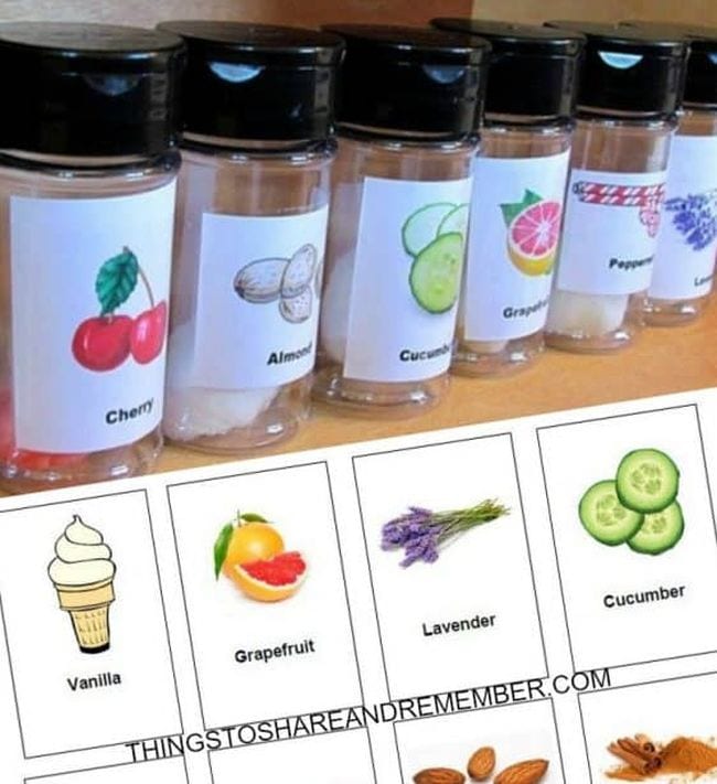 Kindergarten Science Activities Scent Bottles Small bottles labeled cherry, almond, cucumber, grapefruit, peppermint