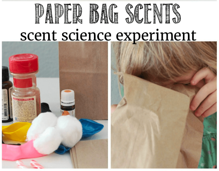 Mystery Scent Bags Experiment Paper bag and cotton balls with scented items like spices