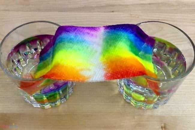 Preschool Science Paper Towel Rainbow Paper towel strip draped between two glasses of water, with colorful marker rainbow ink moving from each side to meet in the middle