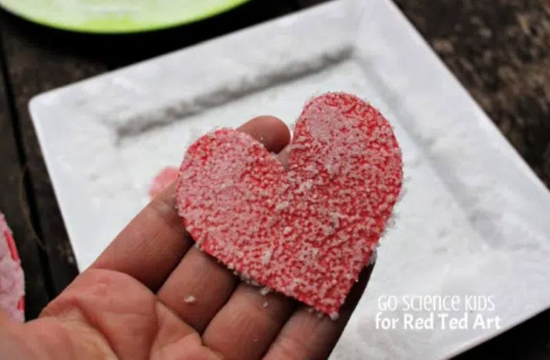 Salt Crystal Heart Science Experiment Red construction paper heart covered in salt crystals from a science experiment