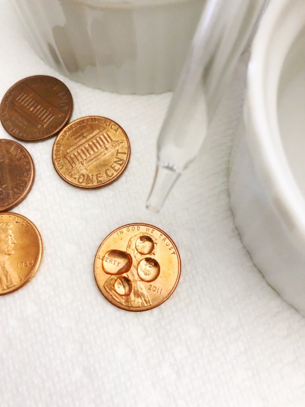 Water Drops On Penny Photo of 5 pennies and a water dropper to demonstrate the second grade science experiment relating to water tension. One penny has 4 water drops on it.