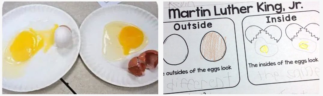 Martin Luther King Activities: Eggs White egg and brown egg cracked open to show the insides, alongside a worksheet exploring the concept